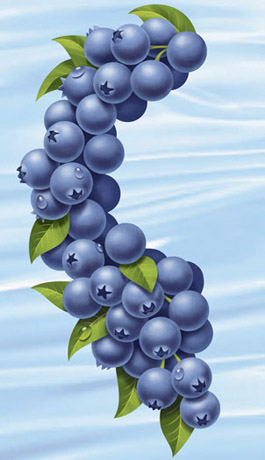 Blueberry Juice Art