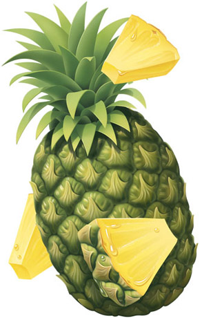 Pomegranate Art