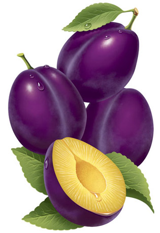 Prunes Juice Art