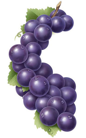 Purple Grape Art