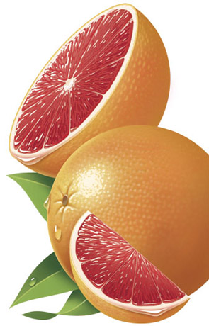 Ruby Grapefruit Art
